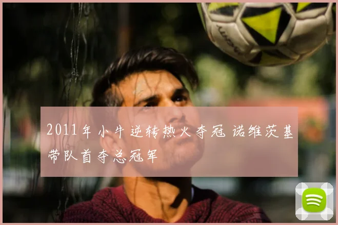 2011年小牛逆转热火夺冠 诺维茨基带队首夺总冠军